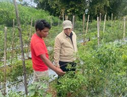 BI Sumbar Pastikan Ketersediaan Stok Komoditi Pangan