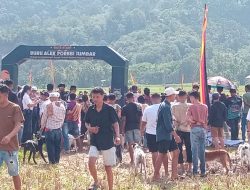 Antara Tradisi Minang dan Misi Selamatkan Tanaman Petani