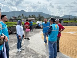 PLN UP3 Payakumbuh Kuatkan Produktivitas Pertanian Rakyat dengan Huller Listrik Kolaborasi Tiga Pihak