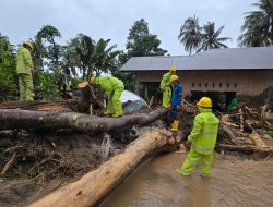 PLN UID Sumatera Barat Percepat Recovery Pascabencana, Pulihkan 68% Listrik Rakyat Terdampak Banjir & Longsor