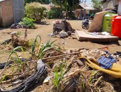 Tragedi Banjir Bandang Batang Aie Lubuk Minturun: Korban Jiwa dan Kerusakan Berat di Kampung Apa Koto Panjang