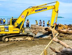 Semen Padang Turun Tangan Bersihkan Kayu di Pantai Parupuk, Wamenhut: Target 3 Hari Bersih