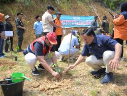 Pulihkan Ekologi Pascabencana, PT Semen Padang Serahkan 10 Ribu Bibit Kaliandra Dukung Gerakan Sejuta Pohon