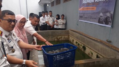Kepala Rutan kelas IIB Padangpanjang Torkis Freddy Siregar saat panen perdana 80 Kg Lele, Kamis (15/01/2026).