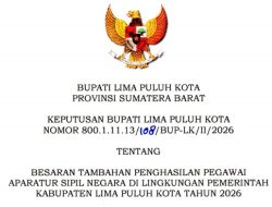 Miris, TPP Sekda dan PPPK Selisih 126 Kali Lipat