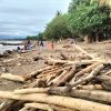 Arus Mudik ke Sumbar Diprediksi 5,36 Juta Orang, DPRD Soroti Sampah Kayu di Pantai Parkit