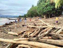 Arus Mudik ke Sumbar Diprediksi 5,36 Juta Orang, DPRD Soroti Sampah Kayu di Pantai Parkit