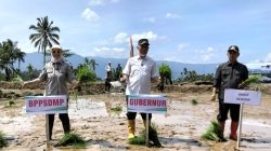Kegiatan Tanam Serentak oleh Badan Penyuluhan dan Pengembangan Sumber Daya Manusia Pertanian (BPPSDMP) di Nagari Koto Kaciak, Kecamatan Tanjung Raya, Agam, Kamis (30/04/2026).