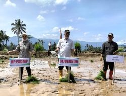 Dukung Ketahanan Pangan, Kementan Percepat Tanam Serentak 