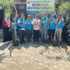 PLN Serahkan Bantuan Bibit Tabebuya untuk Penghijauan Kota Pariaman, Wujud Komitmen TJSL dan Lingkungan Berkelanjutan Jelang Idul Fitri 1447 H