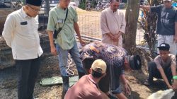 Proses pemotongan hewan kurban dari PT. Rimbo Panjang Sumber Makmur (RPSM) kepada masyarakat sekitar, Rabu (27/05/2026).
