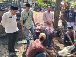 PT. RSPM Salurkan Tiga Sapi dan Dua Kambing Kurban