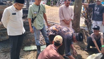 Proses pemotongan hewan kurban dari PT. Rimbo Panjang Sumber Makmur (RPSM) kepada masyarakat sekitar, Rabu (27/05/2026).