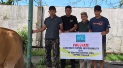 Penyerahan Sapi Kurban PT. AWL untuk disembelih dan dagingnya dibagikan kepada masyarakat di sekitar perusahaan, Rabu (27/05/2026).