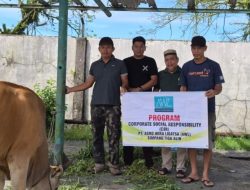 PT. AWL Sembelih Satu Sapi dan Empat Ekor Kambing