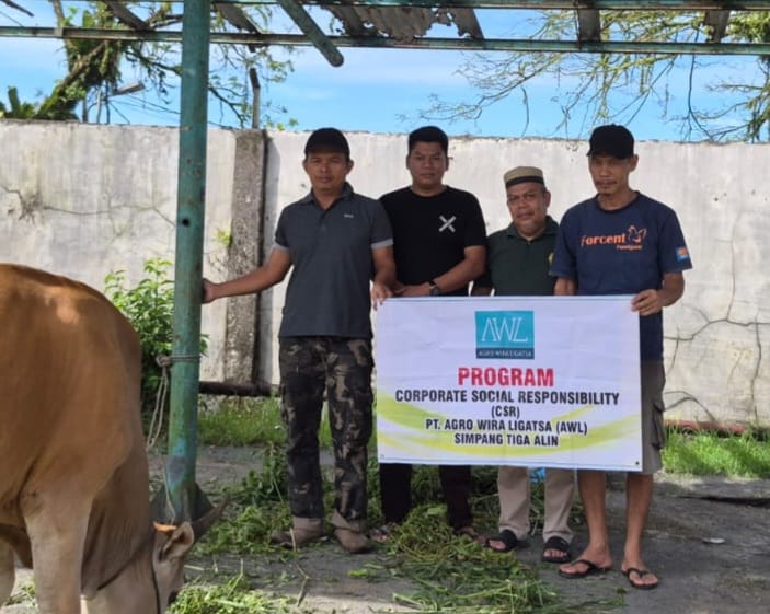 Penyerahan Sapi Kurban PT. AWL untuk disembelih dan dagingnya dibagikan kepada masyarakat di sekitar perusahaan, Rabu (27/05/2026).
