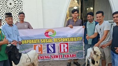 Penyerahan hewan kurban dari PT Gunung Sawit Abadi kepada masyarakat di Kinali, Pasaman Barat.