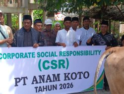 PT. Anam Koto Salurkan Empat Sapi Kurban
