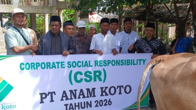 PT. Anam Koto Salurkan Empat Sapi Kurban