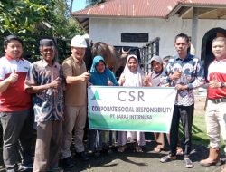 PT LIN Salurkan Puluhan Sapi Kurban kepada Masyarakat