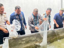Sumbangan dari Mardiansyah, S.Kom, Kakanwil Ditjenpas Sumbar Tebar 5.000 Bibit Ikan di Rupajang