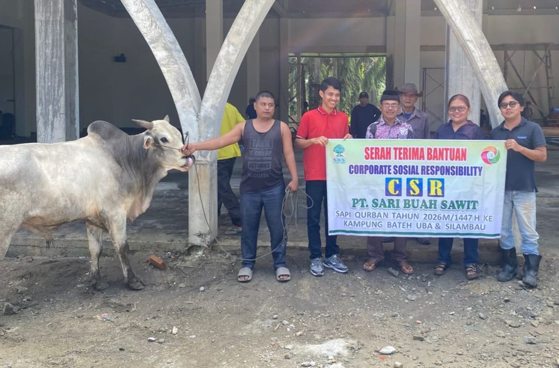 Penyaluran Sapi Kurban dari PT. Sari Buah Sawit (SBS) kepada masyarakat menyambut Hari Raya Iduladha 1447 Hijriah, Selasa (26/05/2026).