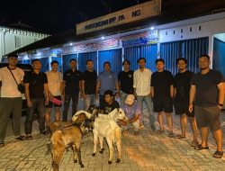 Jual Hasil Curian, Dua Pencuri Kambing Ditangkap