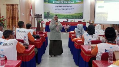 Kegiatan Training User Pestisida Terbatas yang dilaksanakan Alister Sumber bekerjasama dengan DKP Padangpariaman di Aula Samba Lado, Kamis (11/06/2026).