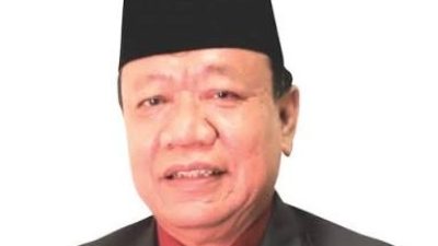 Ketua Fraksi PDI Perjuangan PPP,Wismar Panjaitan