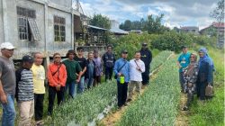 Peserta pelatihan pembuatan pestisida nabati yang dilaksanakan Tim Pengabdian kepada Masyarakat Politeknik Pertanian Negeri Payakumbuh kepada petani bawang di Alahan Panjang,  Kabupaten Solok. 