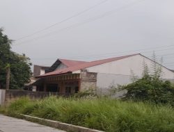 Kabut Asap Selimuti Sumbar, BMKG: Bukan Asap Kiriman tapi Fenomena Haze