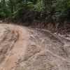 Berstatus Jalan Provinsi, Kondisi Jalan Sialang–Tanjuang Jajaran Makin Parah