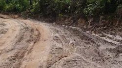 Kondisi jalan Sialang-Tanjung Jaran yang kondisinya sangat memprihatinkan meskipun berstatus jalan provinsi.  