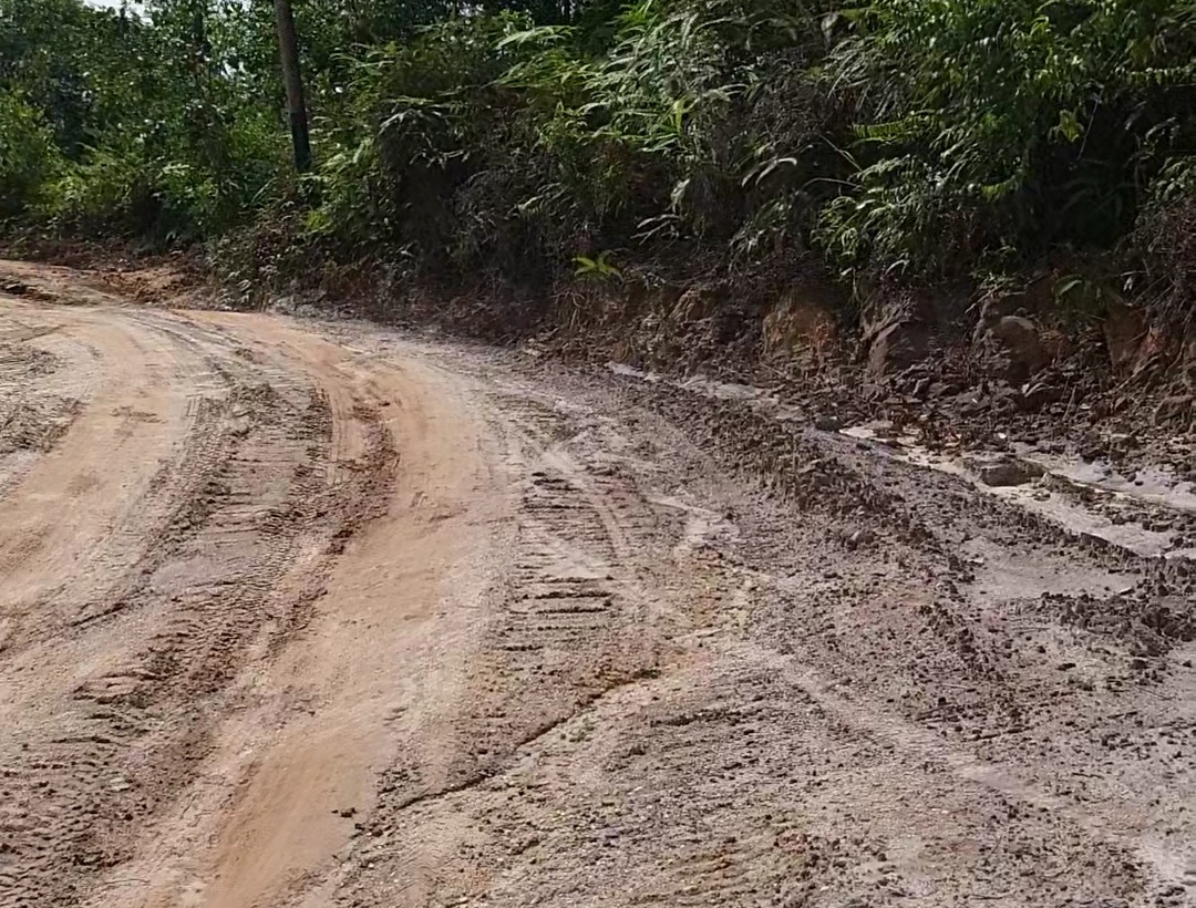 Kondisi jalan Sialang-Tanjung Jaran yang kondisinya sangat memprihatinkan meskipun berstatus jalan provinsi.  