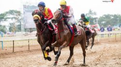Pacuan Kuda Indonesia Horse Racing Merdeka 2026 yang akan digelar di Lapangan Pacuan Kuda Kubu Gadang, Payakumbuh.