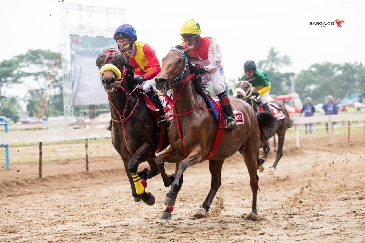 Pacuan Kuda Indonesia Horse Racing Merdeka 2026 yang akan digelar di Lapangan Pacuan Kuda Kubu Gadang, Payakumbuh.  