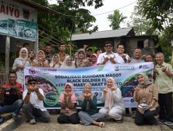 Mengubah Limbah Jadi Cuan: Budidaya Maggot BSF Siap Dikembangkan di Padayo