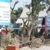 Pemko Bukittinggi Lakukan Pembenahan, Halaman TMSBK Ditata Ulang