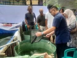 Anggota DPRD Sumbar Erick Hamdani, SE Dt. Ambasa saat tebar benih ikan di Kelompok Pembudidaya Ikhlas Padangpanjang.