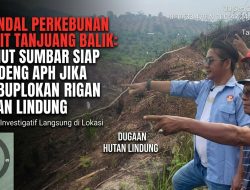 Dugaan Skandal Perkebunan Sawit Tanjuang Baliak: Dishut Sumbar Akan Gandeng APH jika Terbukti Caplok Hutan Lindung