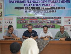 Pembangunan Turap Irigasi 65 Meter Dukung Sektor Pertanian dan Perikanan Warga Baringin