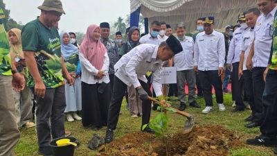 Staf Ahli Bupati Solok Selatan Indra Zuardi saat penanaman pohon perdana di SMAN 9 Solok Selatan, Rabu (14/10/2026).